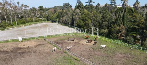 8 chambres Maison à Elvas, Portugal No. 103770 47