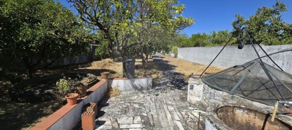 7 bedrooms House in Torres Novas, Portugal No. 234280 25