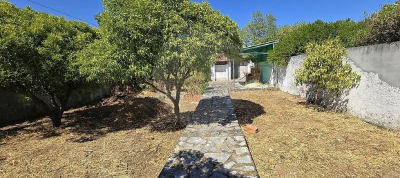 7 bedrooms House in Torres Novas, Portugal No. 234280 26