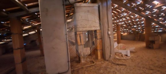 7 bedrooms House in Torres Novas, Portugal No. 234280 20