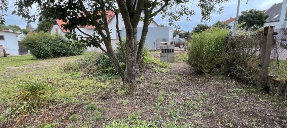  قطعة أرض في Borde, Germany رقم 225860 2