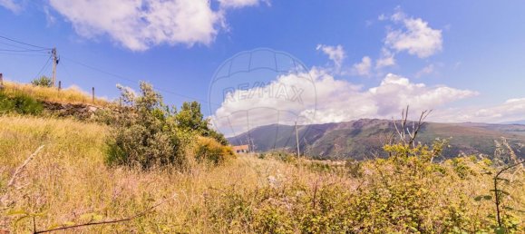 1 bedroom House in Baiao, Portugal No. 20032 8