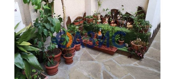 12غرفة فندق في Ravda, Bulgaria رقم 1019 12