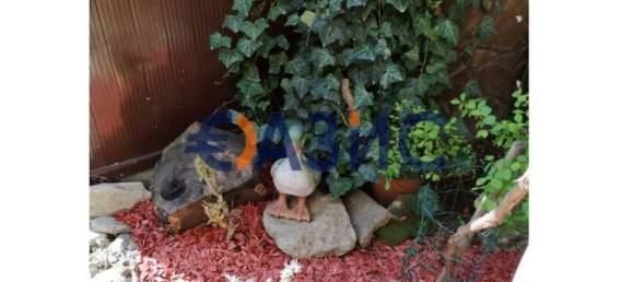 12غرفة فندق في Ravda, Bulgaria رقم 1019 17