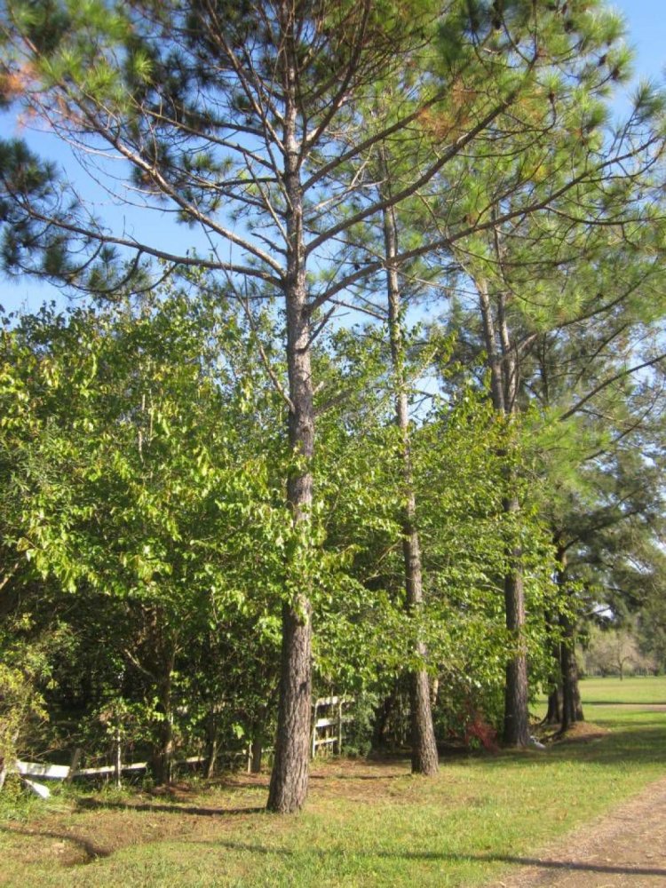 Grundstück in Escobar, Argentina, Nr. 114537
