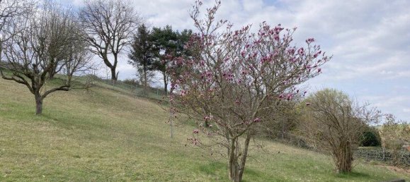6-salle Maison à Mariasdorf, Austria No. 147305 8