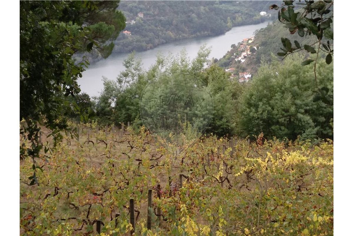 3600m² Land in Baiao, Portugal No. 62128