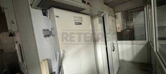 3 rooms Commercial property in Udine, Italy No. 354567 12