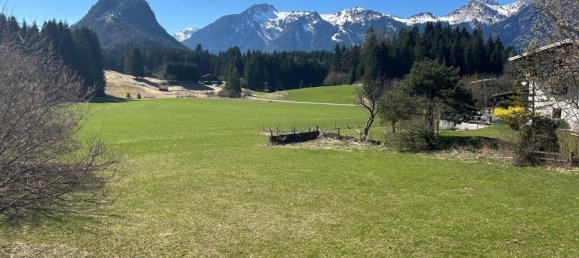 Terrain à Breitenwang, Austria No. 88228 3