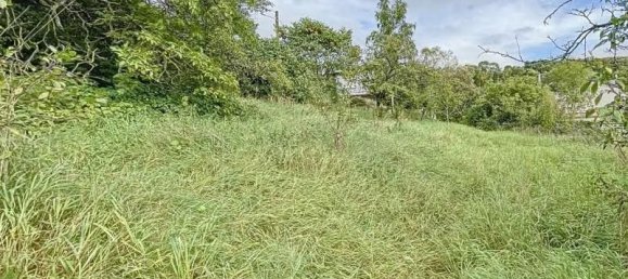 470m² Land in Chavigny, France No. 223654 5