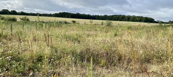 Grundstück in Saint-Maurice-Saint-Germain, France 880m², Nr. 93612 3