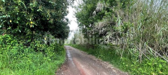 5570m² Land in Marta, Italy No. 174391 11