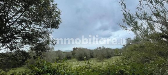 5570m² Land in Marta, Italy No. 174391 7