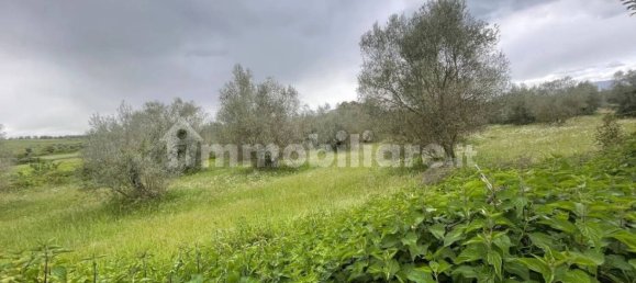 5570m² Land in Marta, Italy No. 174391 4