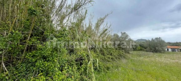 5570m² Land in Marta, Italy No. 174391 9