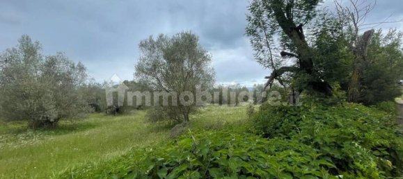 5570m² Land in Marta, Italy No. 174391 5