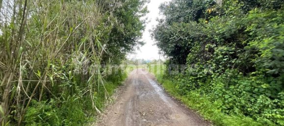 5570m² Land in Marta, Italy No. 174391 8