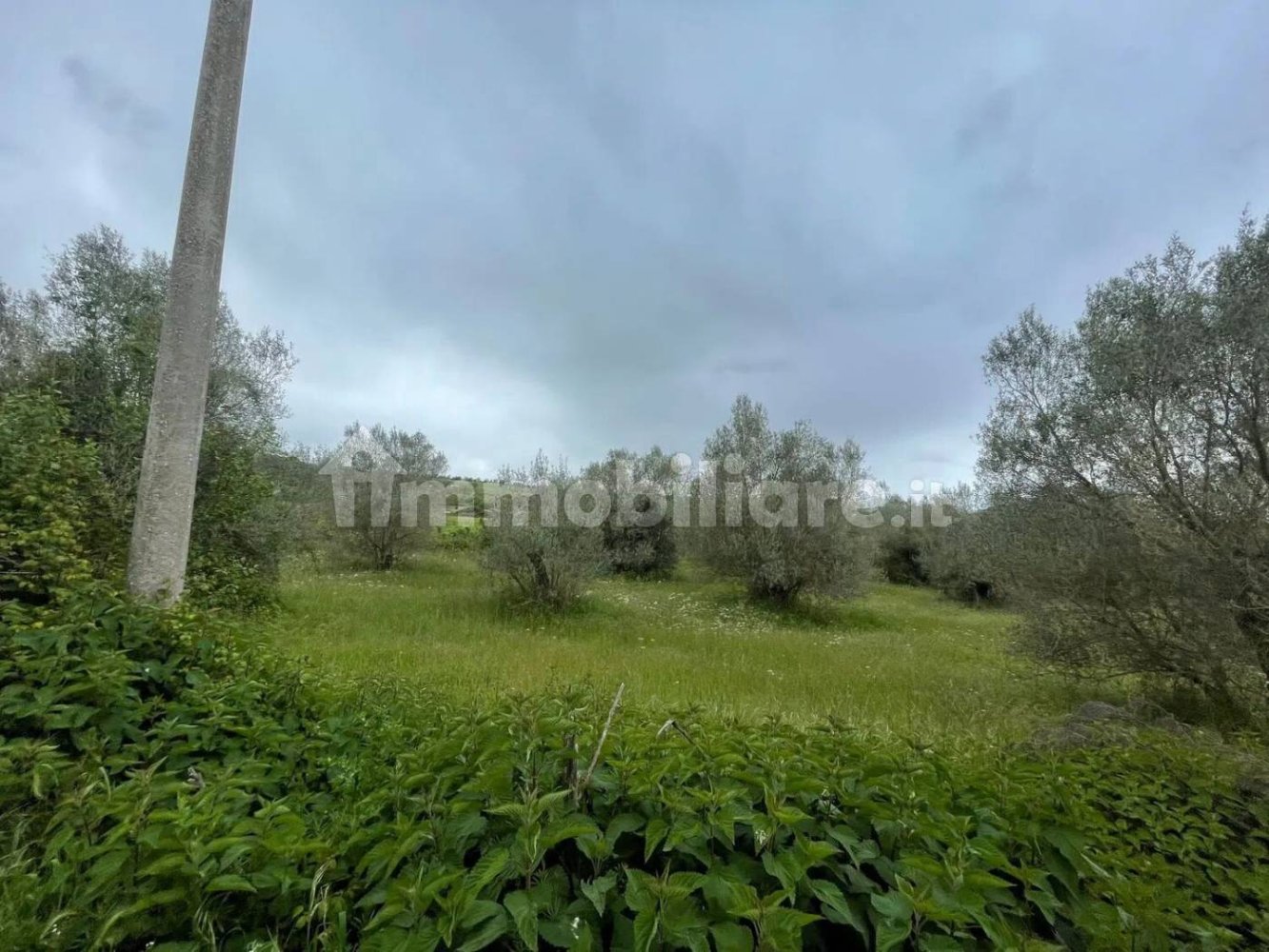 5570m² Land in Marta, Italy No. 174391