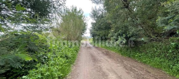 5570m² Land in Marta, Italy No. 174391 6