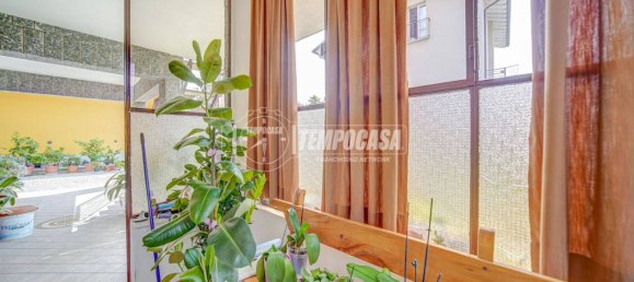 2 chambres Villa à Cassano Magnago, Italy No. 351949 39