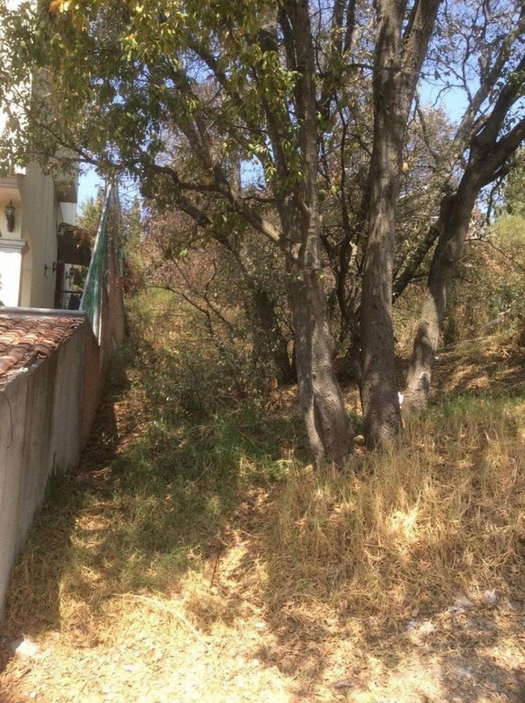 Terreno en Ciudad López Mateos, Mexico No. 206916