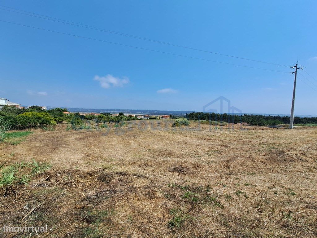 Grundstück in Caldas da Rainha, Portugal 5460m², Nr. 307223