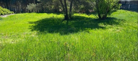 Terrain à Sudwestpfalz, Germany No. 220401 2