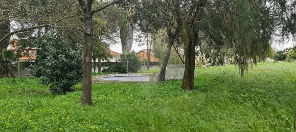 Дом с 9 спальнями в Эвора, Португалия № 68454 29