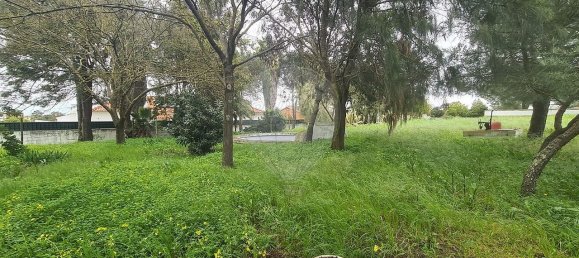 Дом с 9 спальнями в Эвора, Португалия № 68454 35