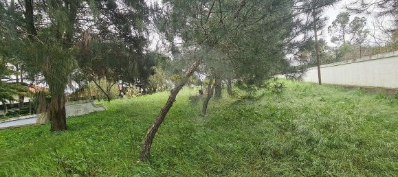 Дом с 9 спальнями в Эвора, Португалия № 68454 34