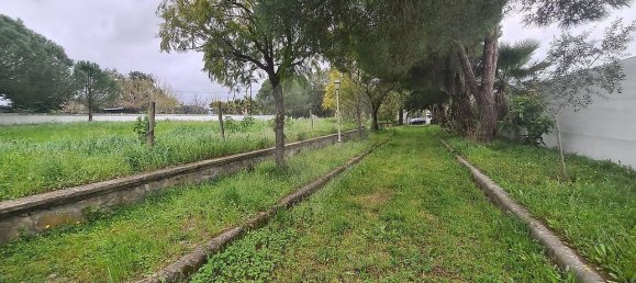 Дом с 9 спальнями в Эвора, Португалия № 68454 25