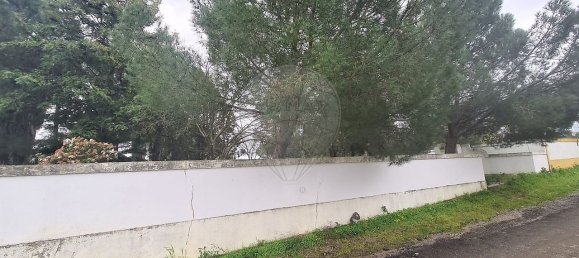 Дом с 9 спальнями в Эвора, Португалия № 68454 31