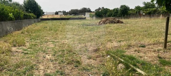 Дом с 9 спальнями в Эвора, Португалия № 68454 5