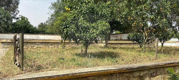 Дом с 9 спальнями в Эвора, Португалия № 68454 2