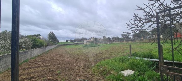 Дом с 9 спальнями в Эвора, Португалия № 68454 32