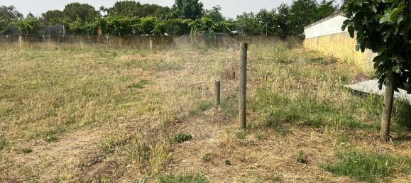 Дом с 9 спальнями в Эвора, Португалия № 68454 9