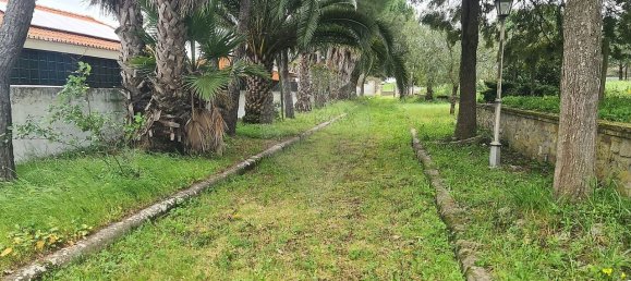 Дом с 9 спальнями в Эвора, Португалия № 68454 42