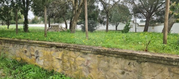 Дом с 9 спальнями в Эвора, Португалия № 68454 39