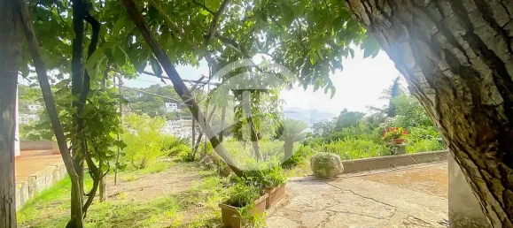 3 chambres Villa à Capri, Italy No. 339477 4