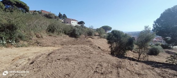 Grundstück in Messina, Italy 14306m², Nr. 48237 22