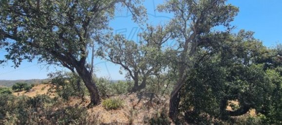 Дом с 3 спальнями в Санта Катарина да Фонте ду Бишпу, Португалия № 163930 42