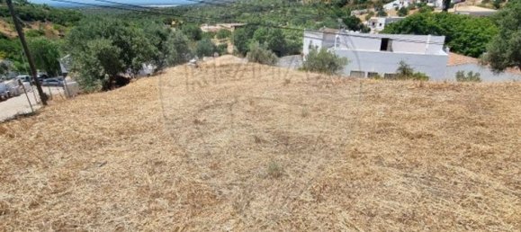 Дом с 3 спальнями в Санта Катарина да Фонте ду Бишпу, Португалия № 163930 36