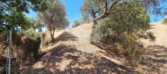 Дом с 3 спальнями в Санта Катарина да Фонте ду Бишпу, Португалия № 163930 35