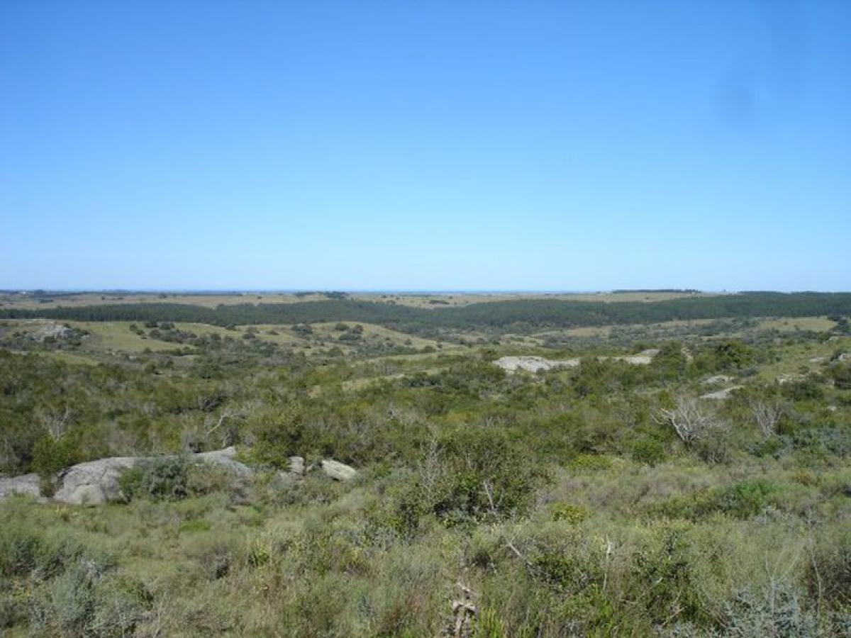 33m² Farm in Maldonado, Uruguay No. 13988
