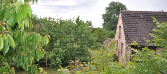 Casa de 3 dormitorios en Ostprignitz-Ruppin, Germany No. 295422 3