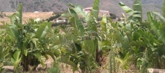 Земельный участок в Эстепона, Испания № 151373 6