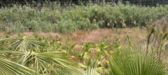 Земельный участок в Эстепона, Испания № 151373 4