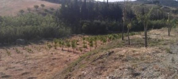 Земельный участок в Эстепона, Испания № 151373 7