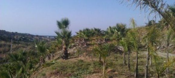 Земельный участок в Эстепона, Испания № 151373 11