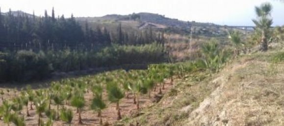 Земельный участок в Эстепона, Испания № 151373 9